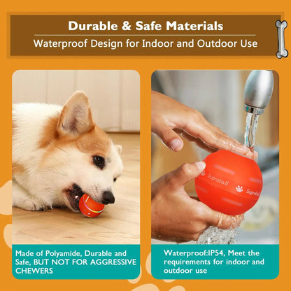 Interactive Dog Ball - Upgraded Durable Motion-Activated Automatic Rolling Toy for Small, Medium, and Large Dogs, USB Rechargeable Springtok