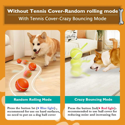 Interactive Dog Ball - Upgraded Durable Motion-Activated Automatic Rolling Toy for Small, Medium, and Large Dogs, USB Rechargeable Springtok