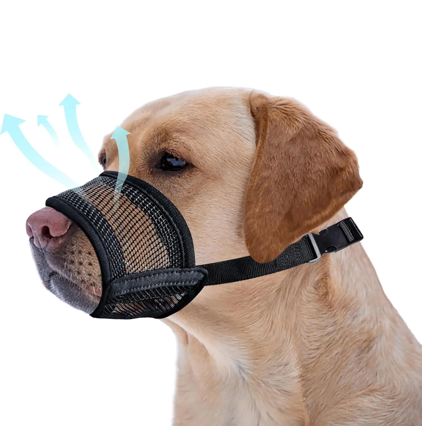 Evollax Adjustable Air Mesh Muzzle for Large Dogs - Designed to Prevent Biting, Scavenging, Licking, and Chewing (Size L: 7.9'' - 9.4'')