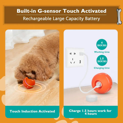 Interactive Dog Ball - Upgraded Durable Motion-Activated Automatic Rolling Toy for Small, Medium, and Large Dogs, USB Rechargeable Springtok