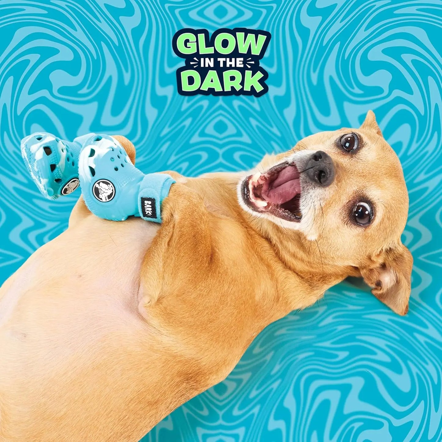 Barkbox Dog Footwear - Set of 4 | EVA Foam, Adjustable Strap, Breathable, Glow-in-the-Dark