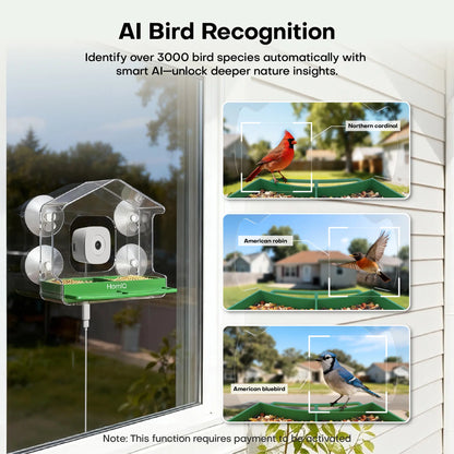 Homiq Life Smart Window Bird Feeder with 2K HD Camera, AI Species Recognition, and Instant Alerts - Durable Acrylic Design, Ideal Gift for Children and Bird Enthusiasts